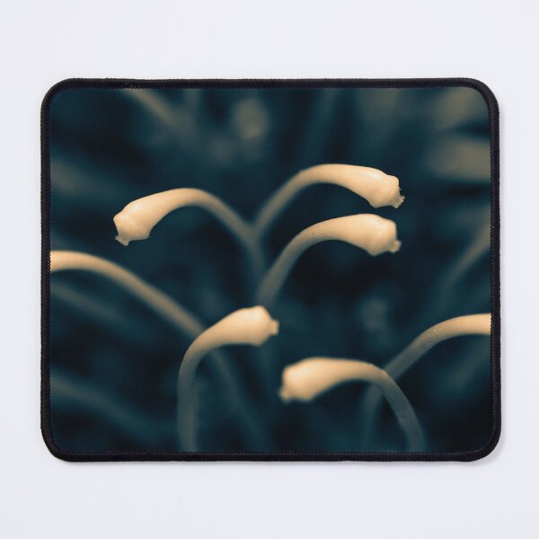 Item preview, Stamen designed and sold by PhotographicAl.