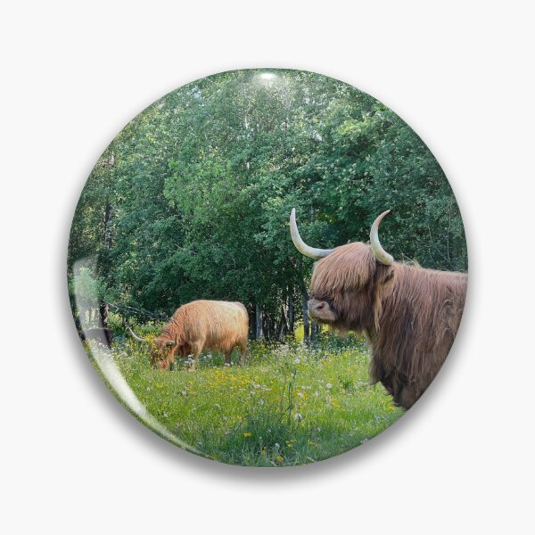 Artikelvorschau, Scottish Highland Cattle Cow 4468 entworfen und verkauft von SaarelaHighland.