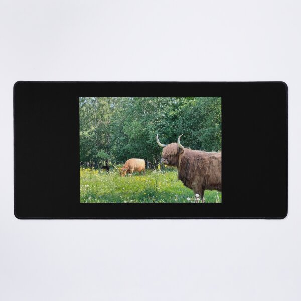 Item preview, Scottish Highland Cattle Cow 4468 designed and sold by SaarelaHighland.