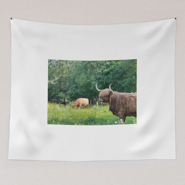 Item preview, Scottish Highland Cattle Cow 4468 designed and sold by SaarelaHighland.