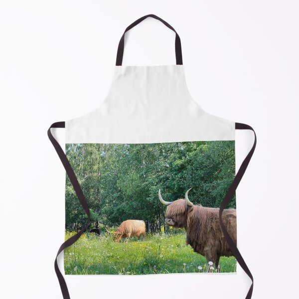 Aperçu de l'œuvre Scottish Highland Cattle Cow 4468 créée et vendue par SaarelaHighland.