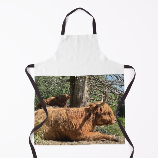 Item preview, Scottish Highland Cattle Cow 4470 designed and sold by SaarelaHighland.