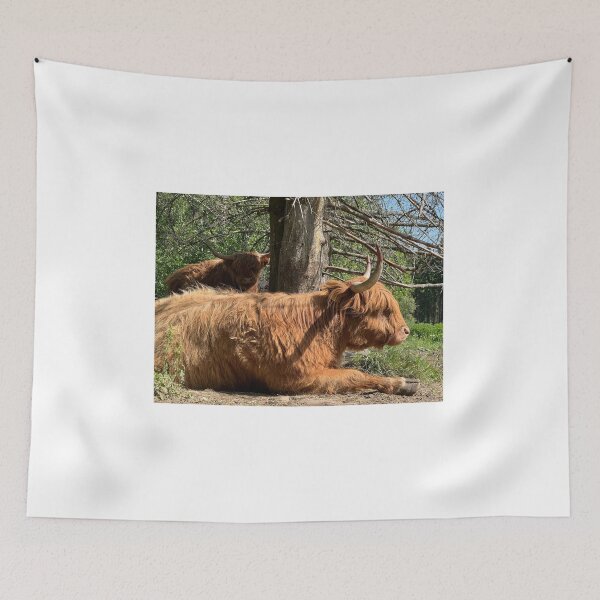 Item preview, Scottish Highland Cattle Cow 4470 designed and sold by SaarelaHighland.