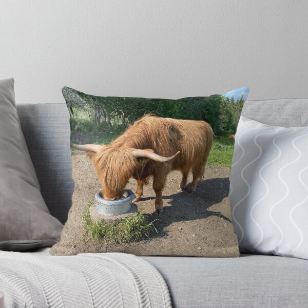 Item preview, Scottish Highland Cattle Cow 4472 designed and sold by SaarelaHighland.
