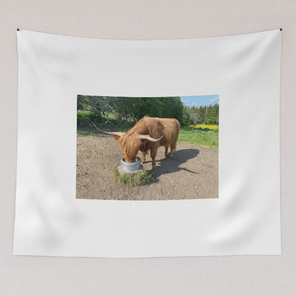 Item preview, Scottish Highland Cattle Cow 4472 designed and sold by SaarelaHighland.