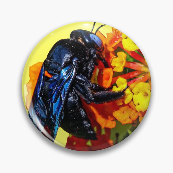 Item preview, Blue Carpenter Bee on an orange flower designed and sold by Dalyndigital Photography.