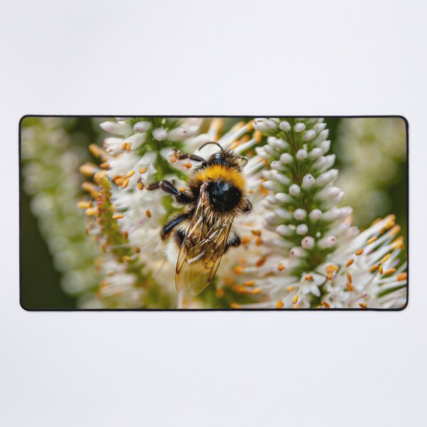 Item preview, Bumblebee at Work designed and sold by Dalyndigital Photography.
