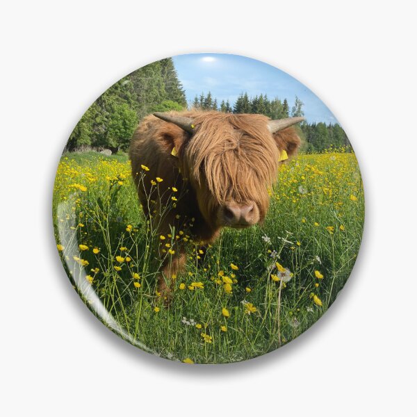 Item preview, Scottish Highland Cattle Calf 4475 designed and sold by SaarelaHighland.
