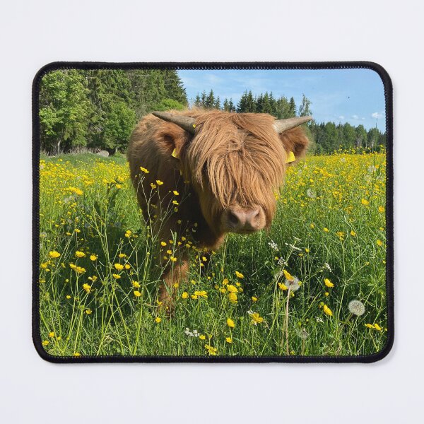 Item preview, Scottish Highland Cattle Calf 4475 designed and sold by SaarelaHighland.