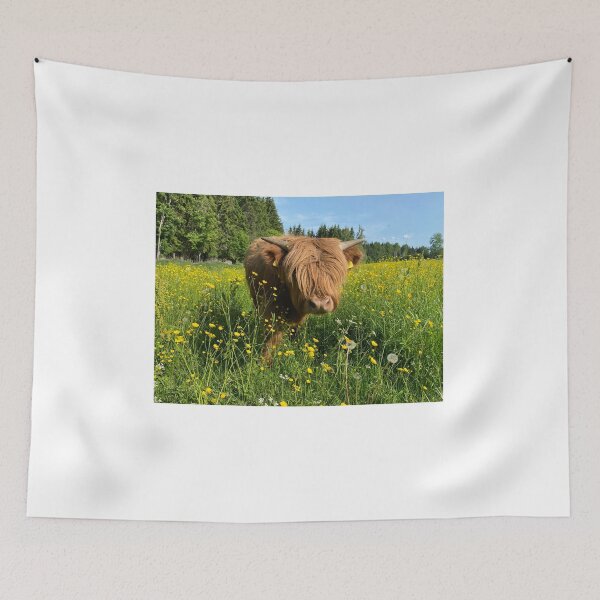 Item preview, Scottish Highland Cattle Calf 4475 designed and sold by SaarelaHighland.
