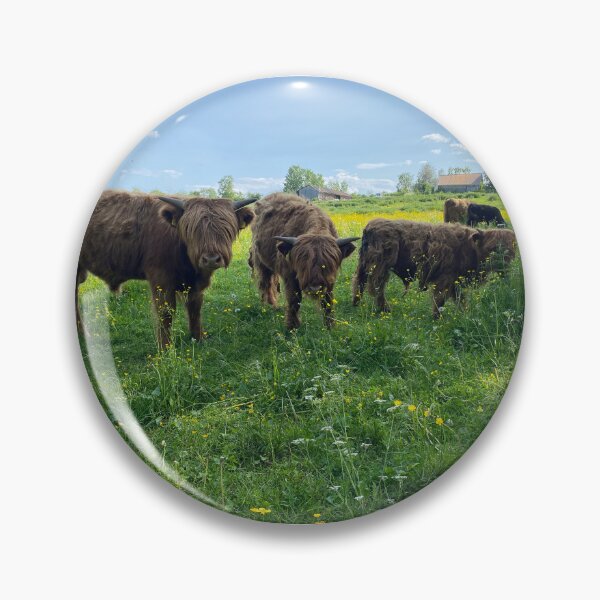 Item preview, Scottish Highland Cattle Calves 4476 designed and sold by SaarelaHighland.