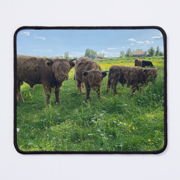 Item preview, Scottish Highland Cattle Calves 4476 designed and sold by SaarelaHighland.