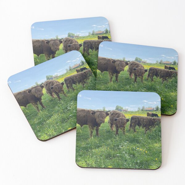 Item preview, Scottish Highland Cattle Calves 4476 designed and sold by SaarelaHighland.