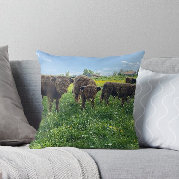 Aperçu de l'œuvre Scottish Highland Cattle Calves 4476 créée et vendue par SaarelaHighland.