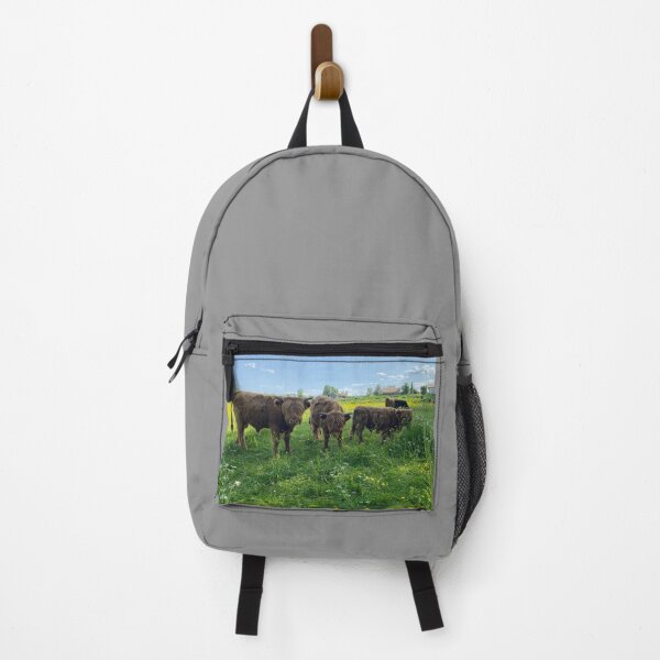 Item preview, Scottish Highland Cattle Calves 4476 designed and sold by SaarelaHighland.
