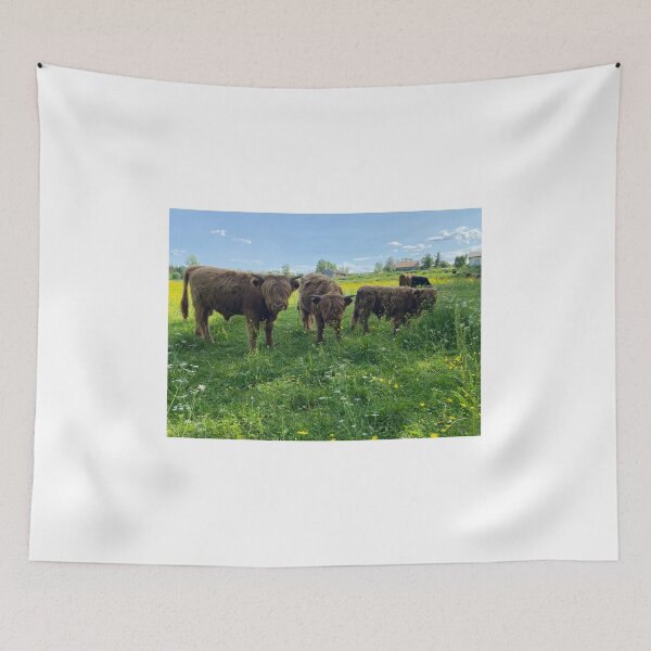 Item preview, Scottish Highland Cattle Calves 4476 designed and sold by SaarelaHighland.