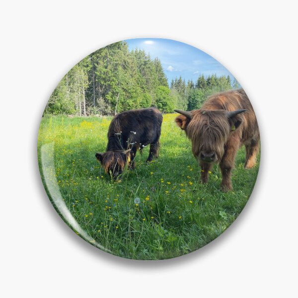 Artikelvorschau, Scottish Highland Cattle Calves 4477 entworfen und verkauft von SaarelaHighland.