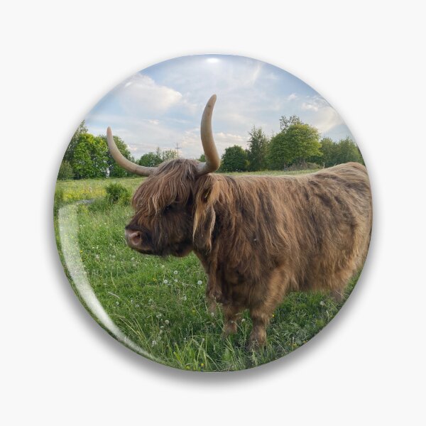 Artikelvorschau, Scottish Highland Cattle Cow 4480 entworfen und verkauft von SaarelaHighland.
