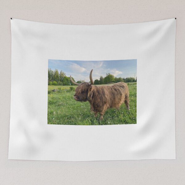 Item preview, Scottish Highland Cattle Cow 4480 designed and sold by SaarelaHighland.
