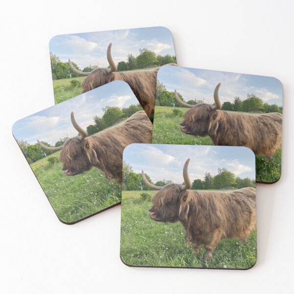 Item preview, Scottish Highland Cattle Cow 4480 designed and sold by SaarelaHighland.