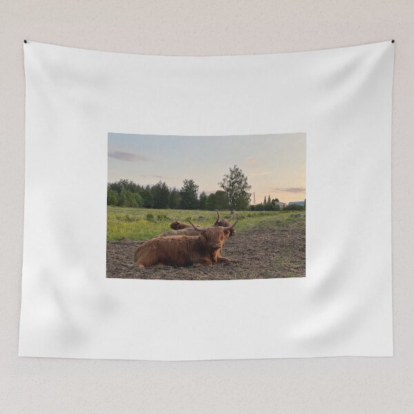 Item preview, Scottish Highland Cattle Cows 4481 designed and sold by SaarelaHighland.
