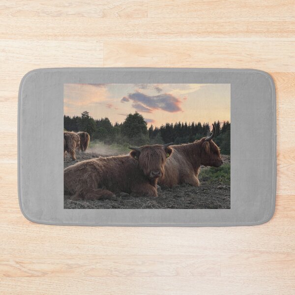 Item preview, Scottish Highland Cattle Cows 4482 designed and sold by SaarelaHighland.
