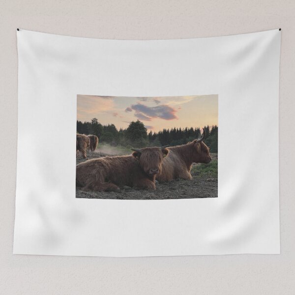 Item preview, Scottish Highland Cattle Cows 4482 designed and sold by SaarelaHighland.