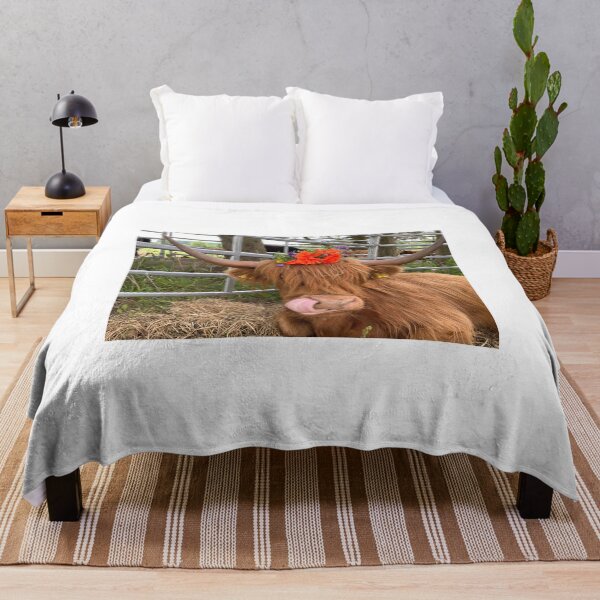 Item preview, Scottish Highland Cattle Cow 4485 designed and sold by SaarelaHighland.