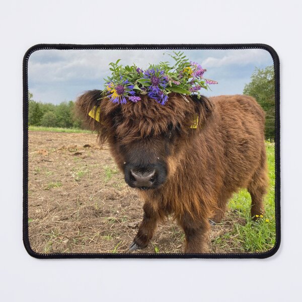 Item preview, Scottish Highland Cattle Calf 4487 designed and sold by SaarelaHighland.