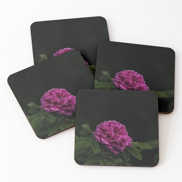 Item preview, Contrasting and simple flower designed and sold by lpphotographe.