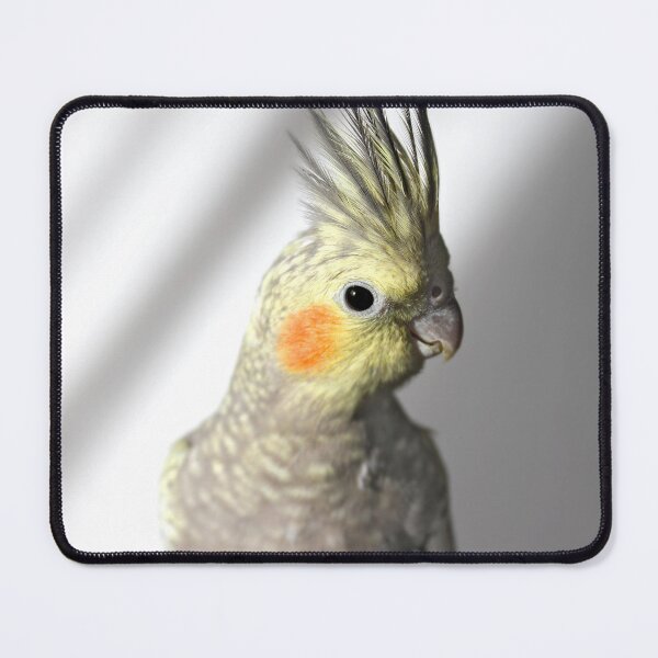 Item preview, Portrait of a cockatiel designed and sold by Grégory DUBUS.