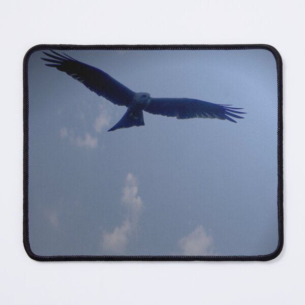 Item preview, Bird Of Prey designed and sold by Street2Stream.