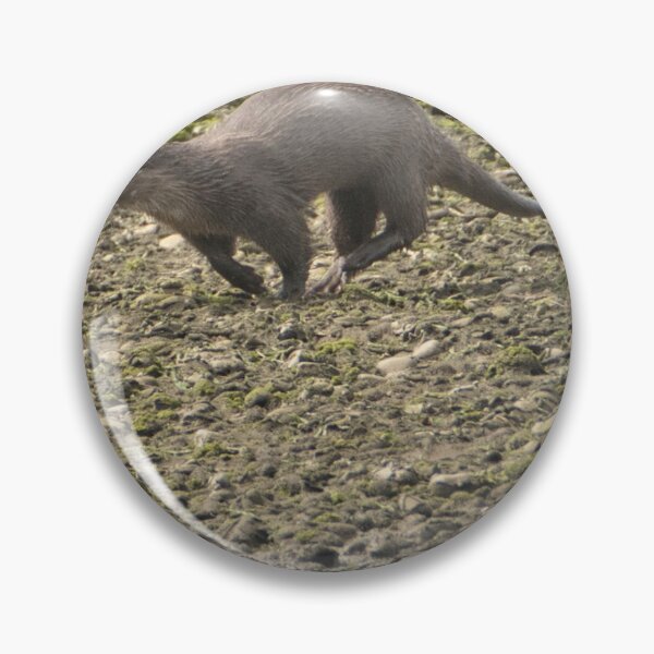 Item preview, Otter ,River Spey  designed and sold by Derren Jones.