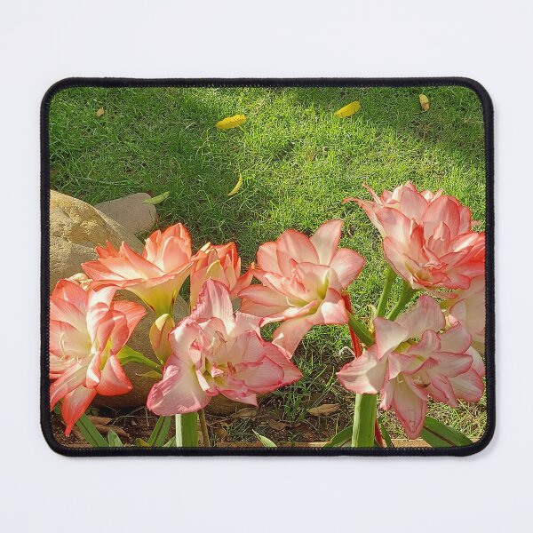 Item preview, Nature flower-a photo designed and sold by nancychong.
