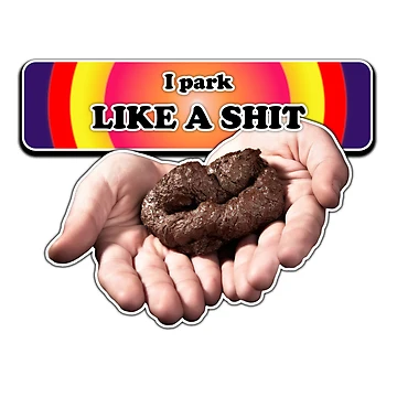 Imagen de la obra I park like shit de Riday