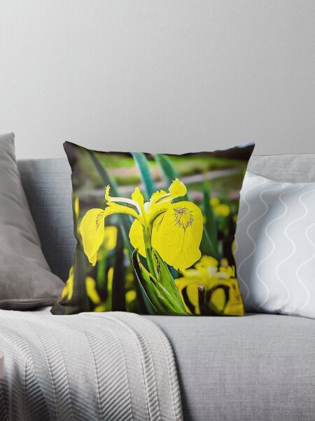 Item preview, Radiant Yellow Flag Iris Art Print designed and sold by Oh Halo Berry.