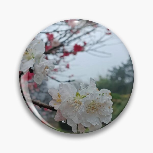 Aperçu de l'œuvre Sakura fleurit au printemps créée et vendue par HodkinsonDesign.