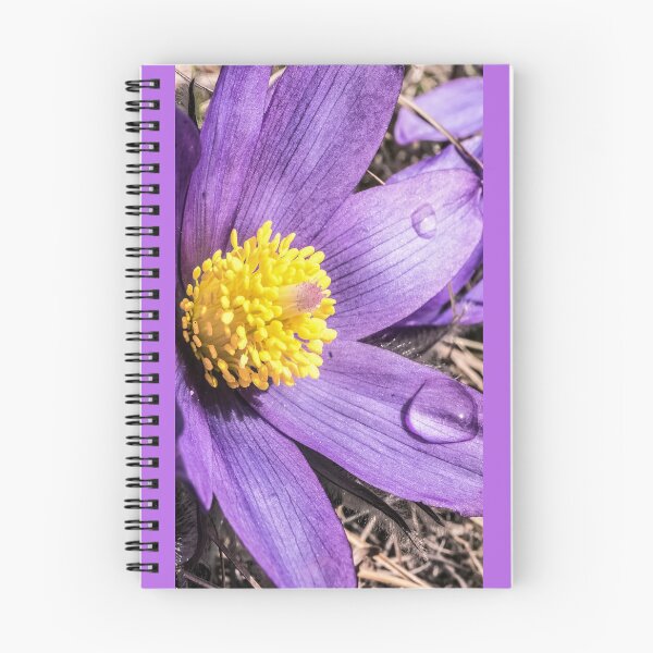 Item preview, Notebook - Delicate edelweiss. Сolorful floral background designed and sold by UnderTheLantern.