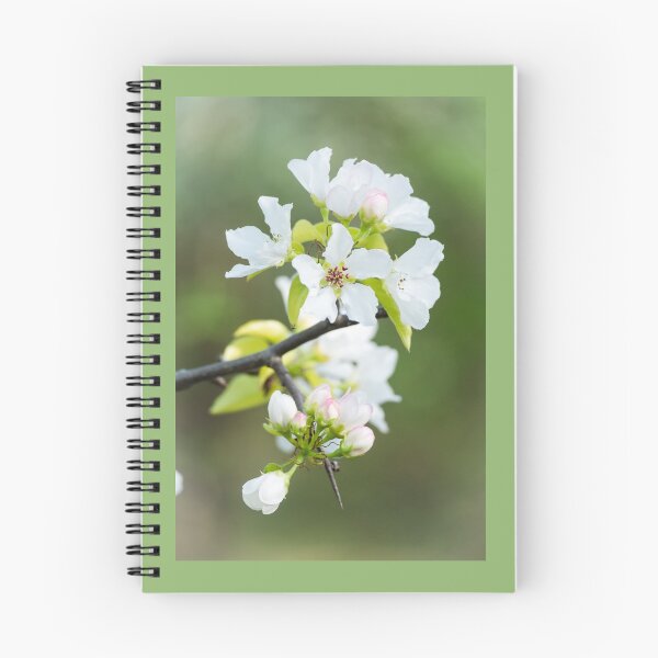 Item preview, Notebook with a delicate white flower. The magic of nature Notebook designed and sold by UnderTheLantern.