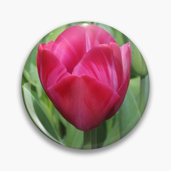 Item preview, Red Tulip designed and sold by DDHA.