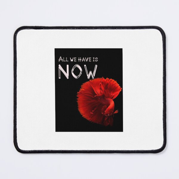 Item preview, All that we have is.. designed and sold by JOHNHELLAND.