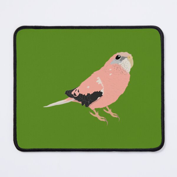 Item preview, Rodney - Bourke's Parakeet Art Print designed and sold by zqpijjut17.