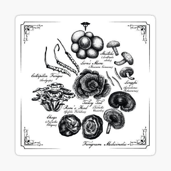 Medicinal Mushrooms Sticker
