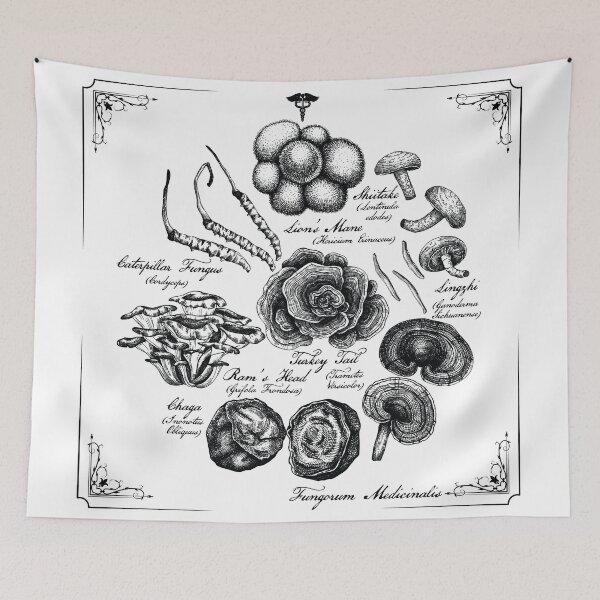 Item preview, Medicinal Mushrooms designed and sold by KatySouders.