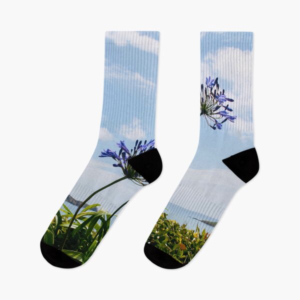 Item preview, Blue Agapanthus Stems Art Print - Against the Clear Blue Sky in the Isles of Scilly, Cornwall designed and sold by Oh Halo Berry.