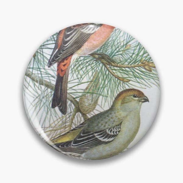 Item preview, Pine Grosbeak. John Gould's Birds. designed and sold by mindwarp2000.
