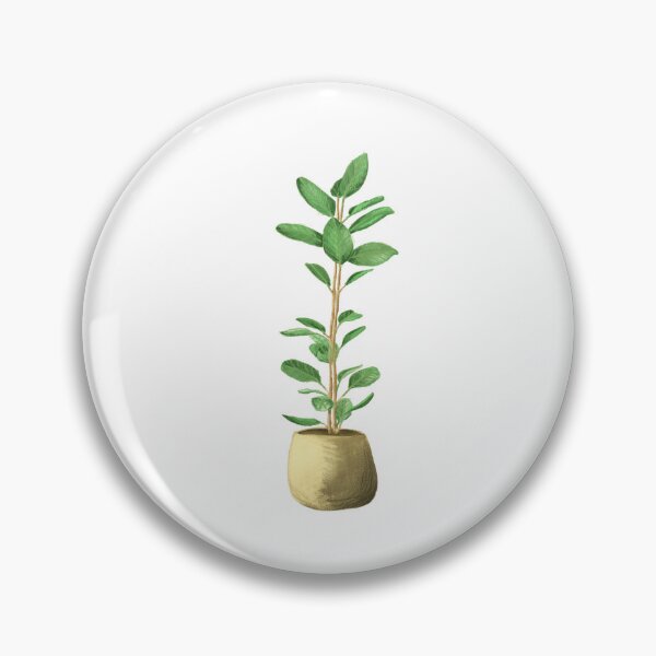 Item preview, Ficus plant in pot designed and sold by MonikaSimona.