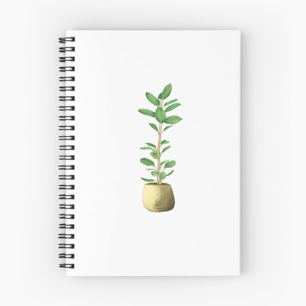 Item preview, Ficus plant in pot designed and sold by MonikaSimona.