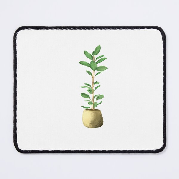 Item preview, Ficus plant in pot designed and sold by MonikaSimona.