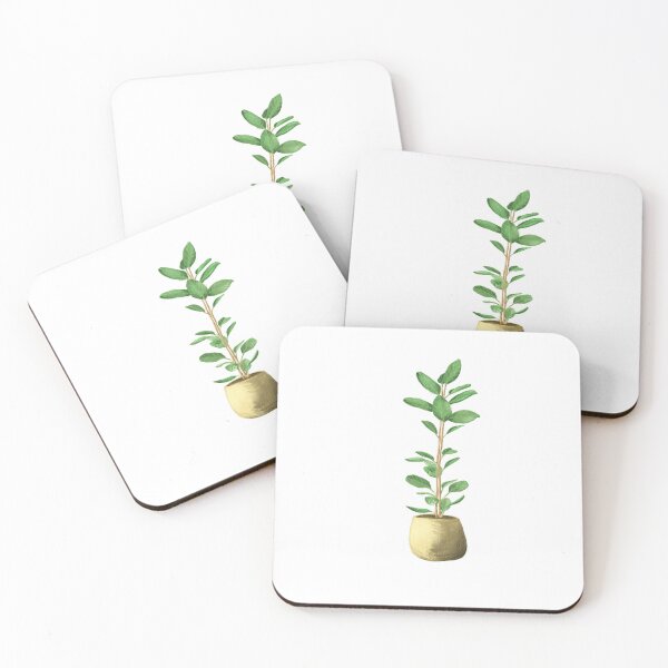 Item preview, Ficus plant in pot designed and sold by MonikaSimona.